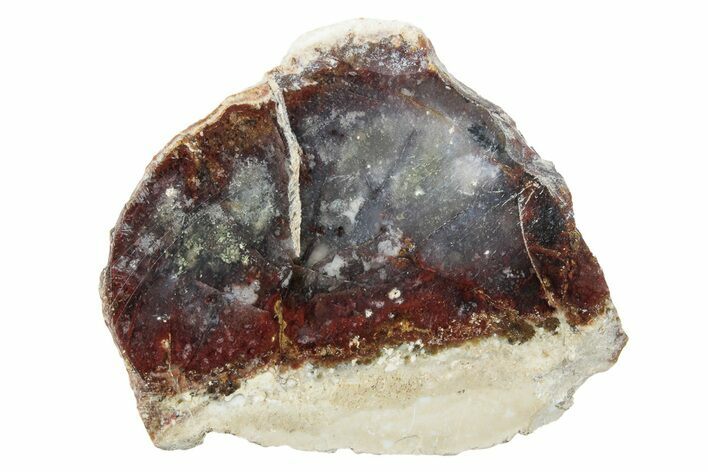 Polished Colorful Moss Agate Slab - Java, Indonesia #271511